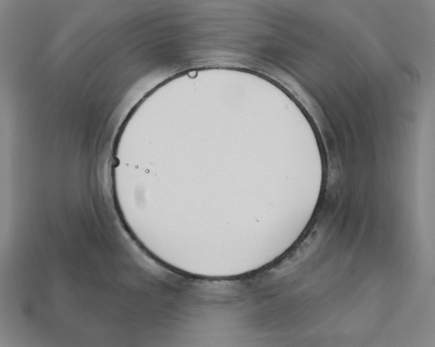 X0000112021293200909141028