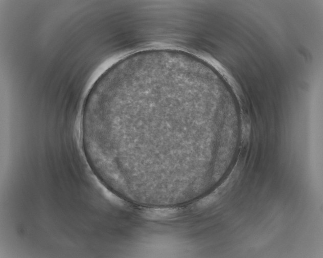 X0000112021294200909141028