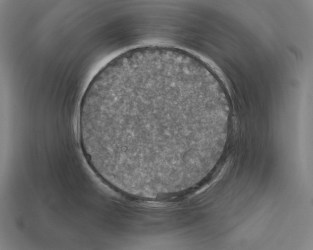 X0000112021295200909141028