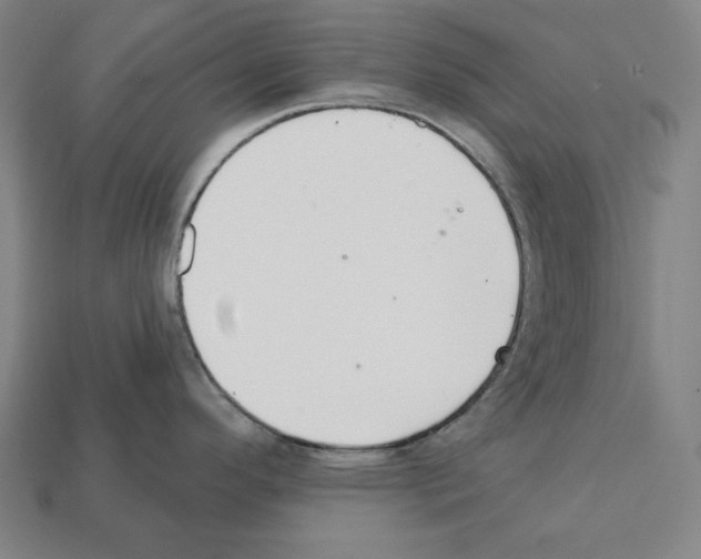 X0000112021296200909141028