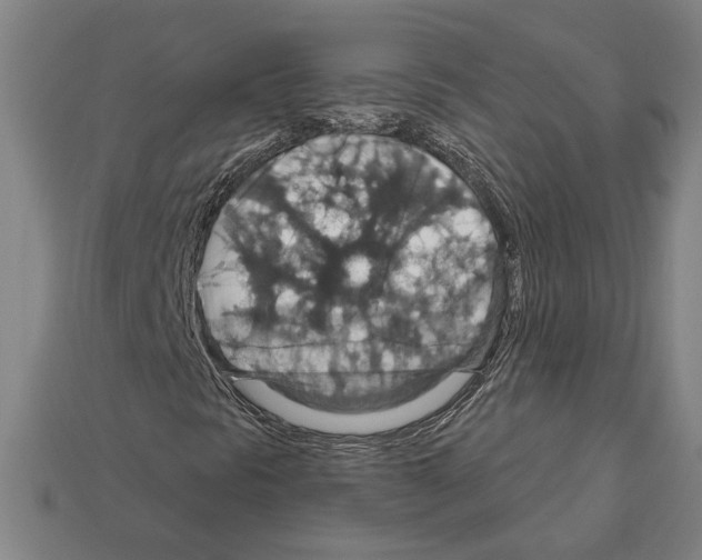 X0000112021297200909141027