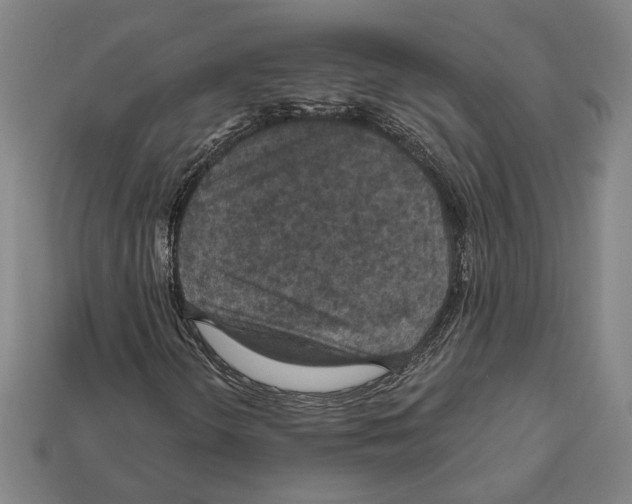 X0000112021298200909141027