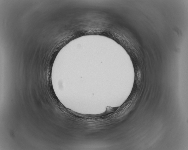 X0000112021300200909141027