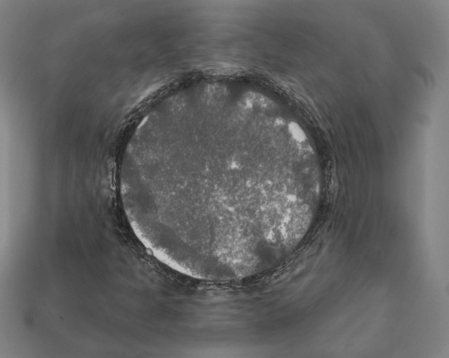 X0000112021301200909141027