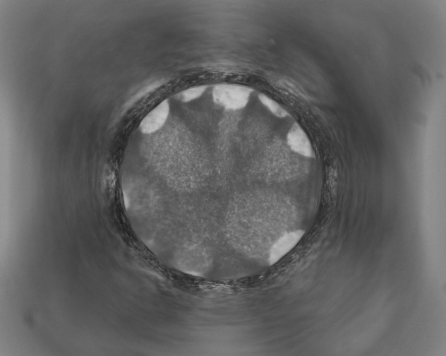 X0000112021302200909141027