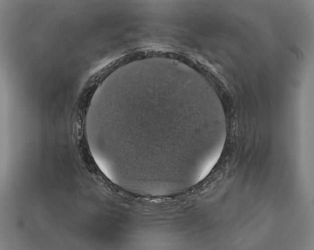 X0000112021303200909141027