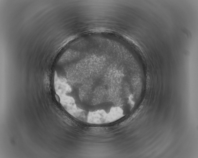 X0000112021305200909141028