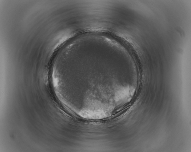 X0000112021306200909141028