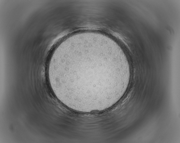 X0000112021307200909141028