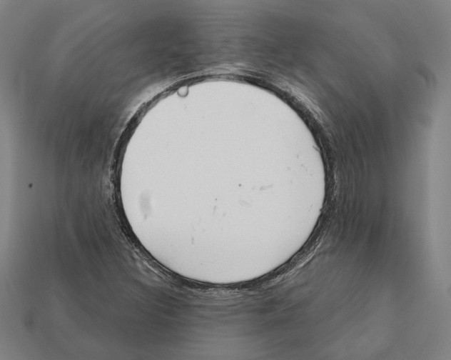 X0000112021308200909141028