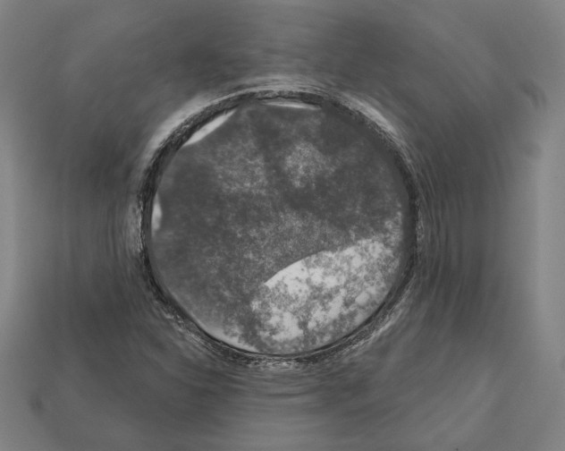 X0000112021310200909141028