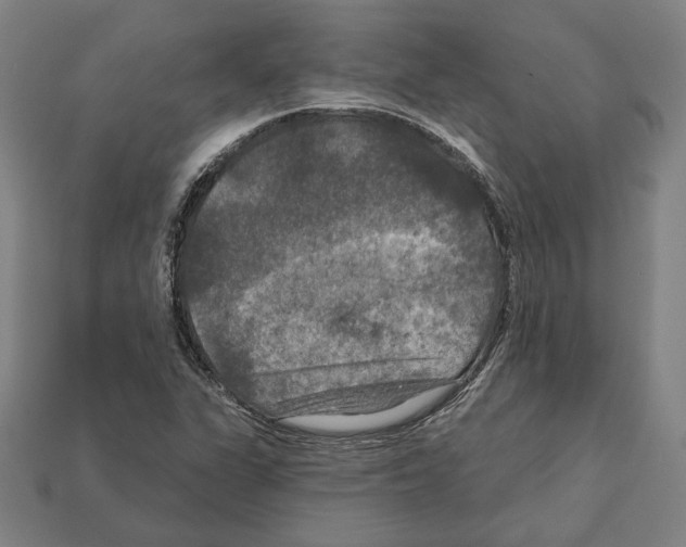 X0000112021311200909141028