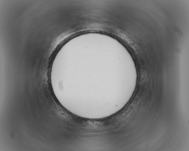 X0000112021312200909141028