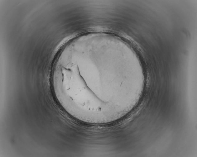 X0000112021314200909141028