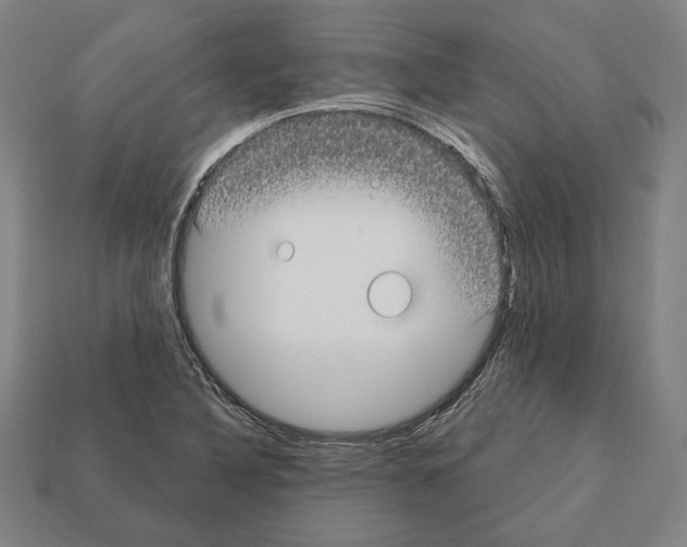 X0000112021316200909141028