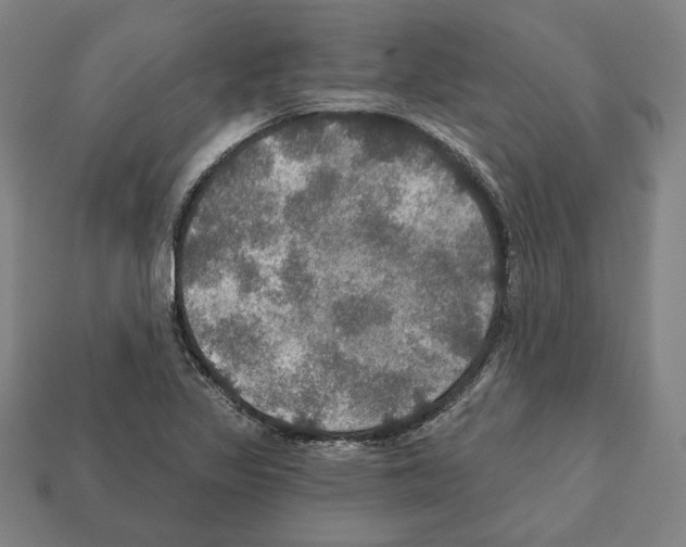 X0000112021317200909141028