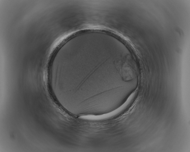 X0000112021319200909141028