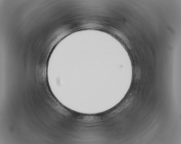 X0000112021322200909141028