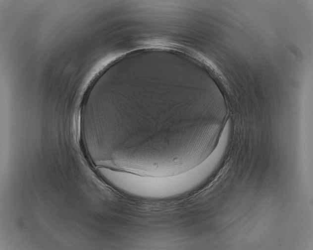 X0000112021323200909141028