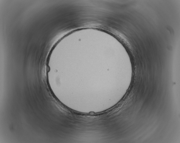 X0000112021324200909141028