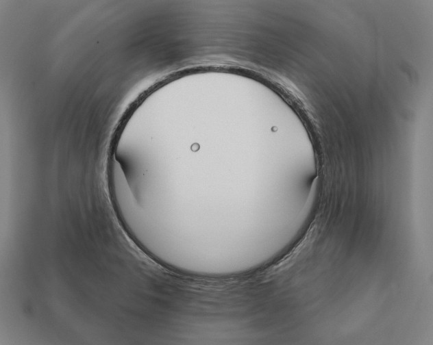 X0000112021326200909141028