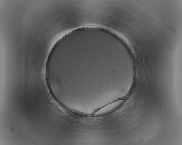 X0000112021327200909141028