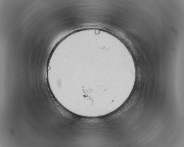 X0000112021328200909141028