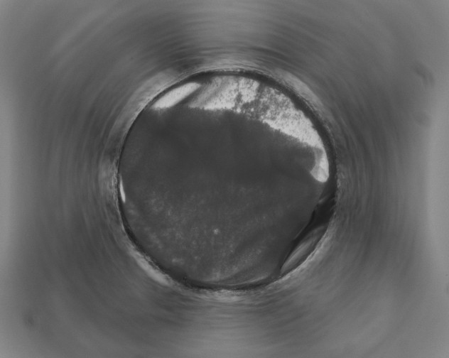 X0000112021329200909141028