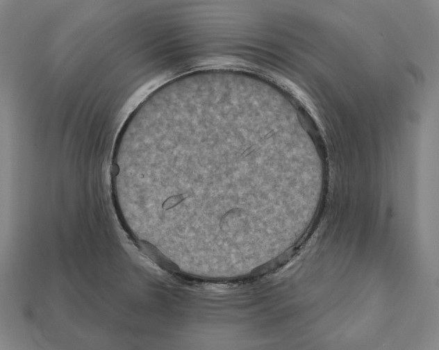 X0000112021330200909141028