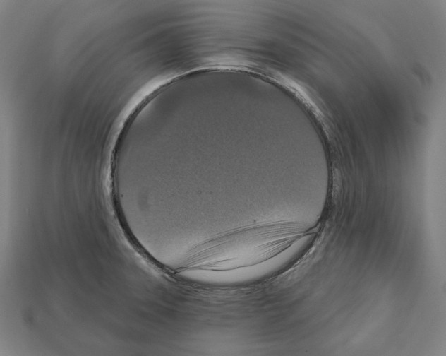 X0000112021331200909141028