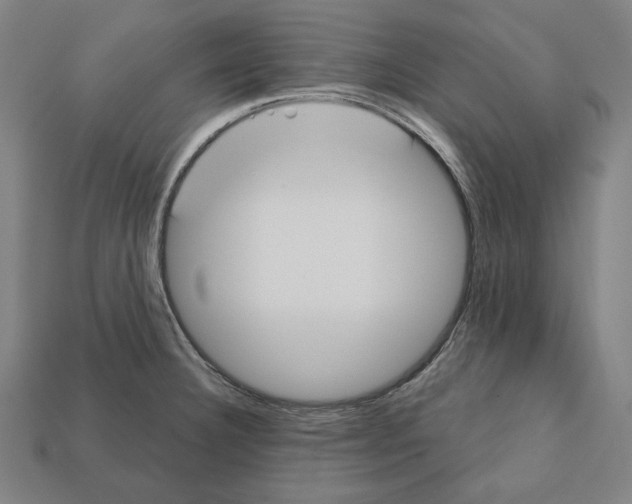 X0000112021332200909141028