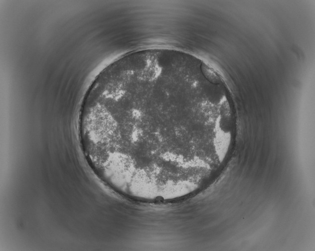 X0000112021333200909141028