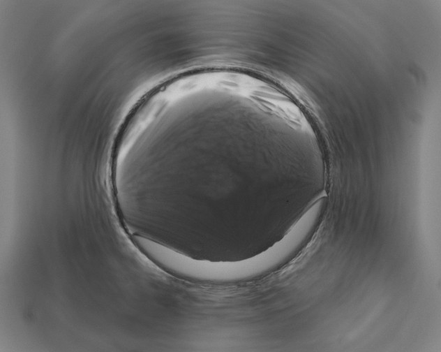 X0000112021334200909141028