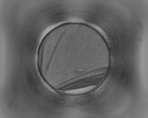 X0000112021335200909141028