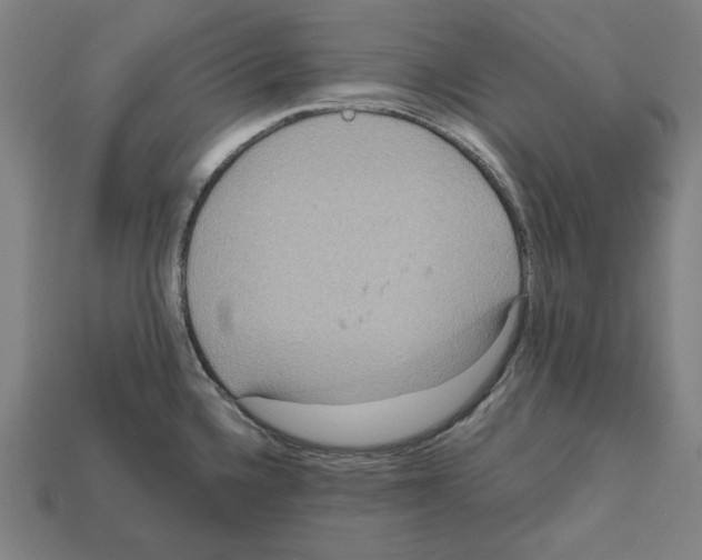 X0000112021336200909141028