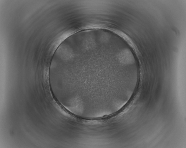 X0000112021337200909141028