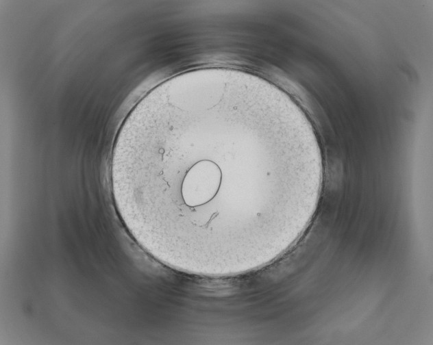 X0000112021338200909141028