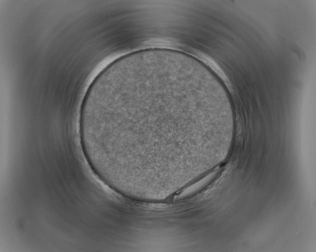 X0000112021339200909141028