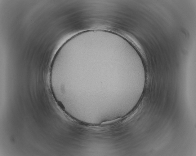 X0000112021340200909141028