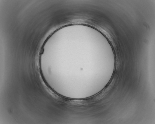 X0000112021342200909141028