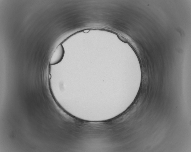 X0000112021343200909141028