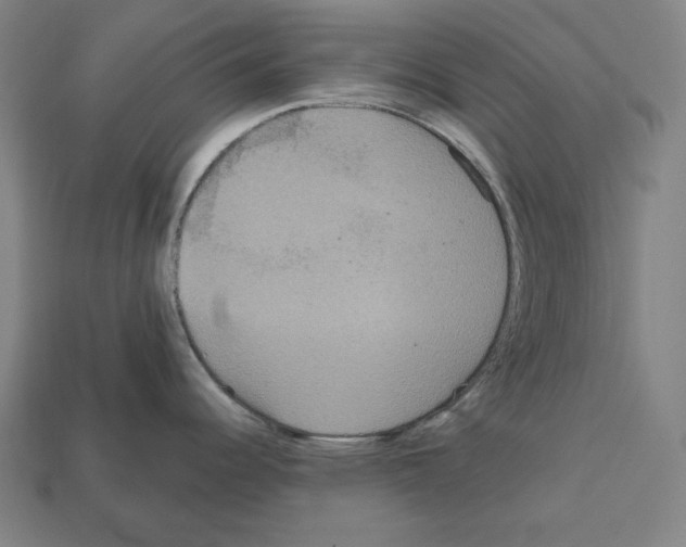 X0000112021344200909141028