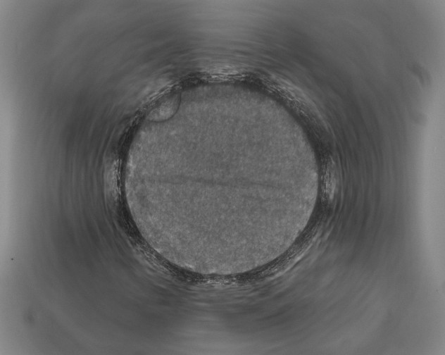 X0000112021346200909141027