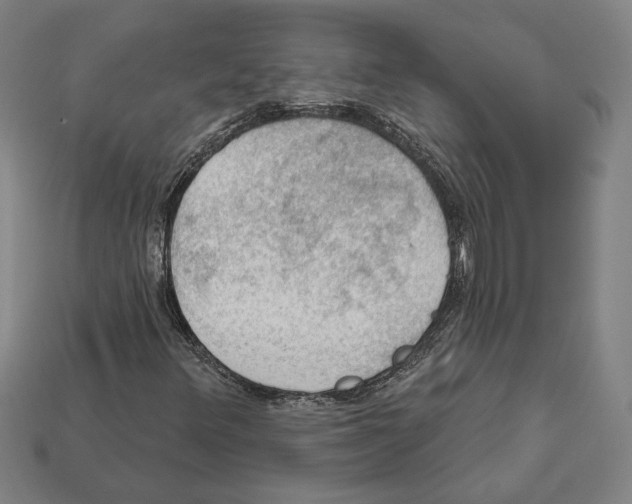 X0000112021348200909141027