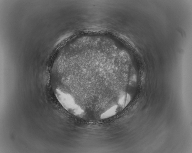 X0000112021350200909141027