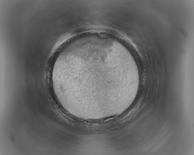 X0000112021352200909141027