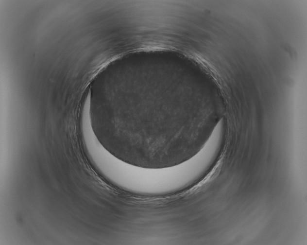 X0000112021353200909141027