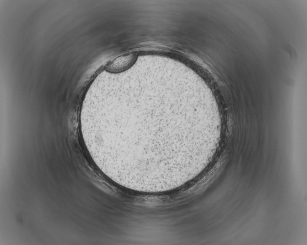 X0000112021355200909141027