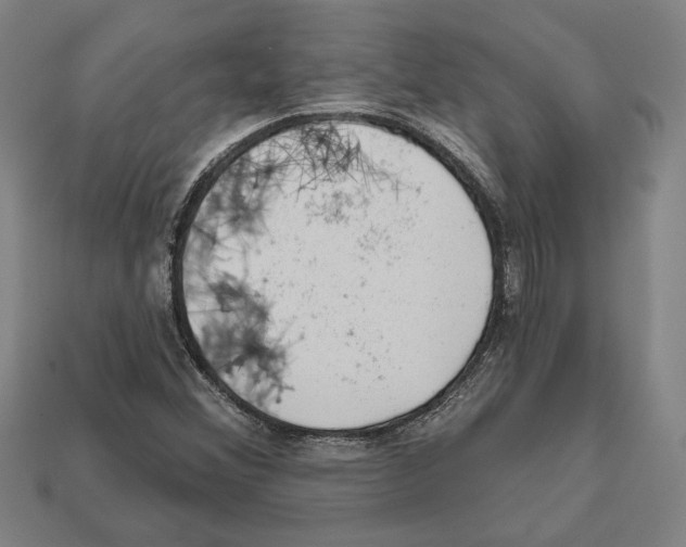 X0000112021356200909141027