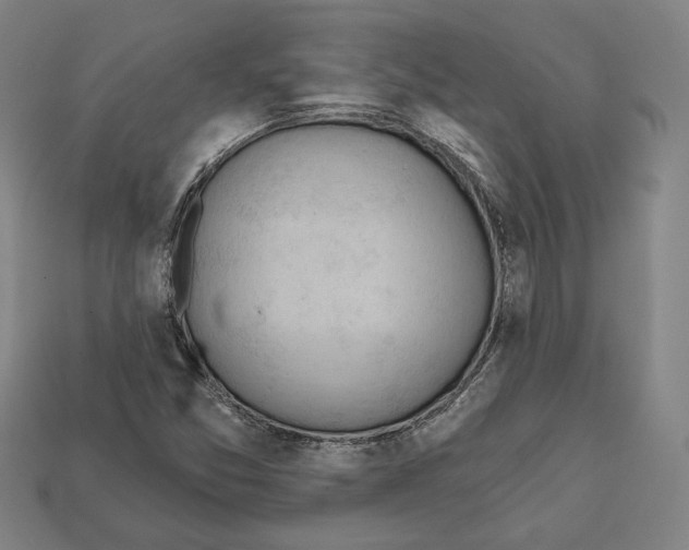 X0000112021357200909141027